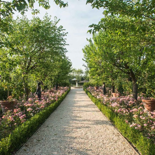 Borgo Santo Pietro — photograph 7 of 16