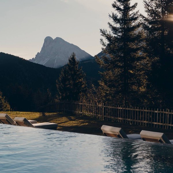 Forestis — photograph 10 of 16