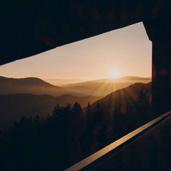 Forestis — photograph 12 of 16