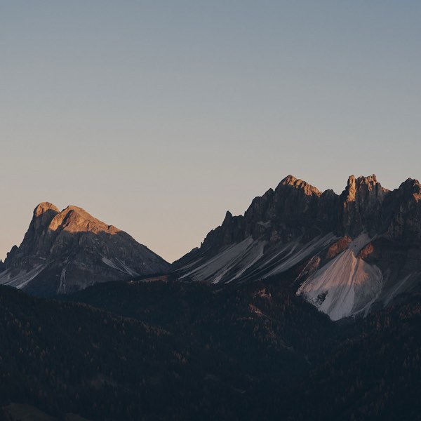Forestis — photograph 16 of 16