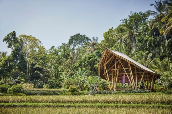 Four Seasons Resort Bali at Sayan — photograph 13 of 24
