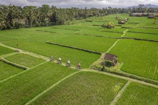 Four Seasons Resort Bali at Sayan — photograph 15 of 24