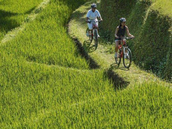 Four Seasons Resort Bali at Sayan — photograph 21 of 24