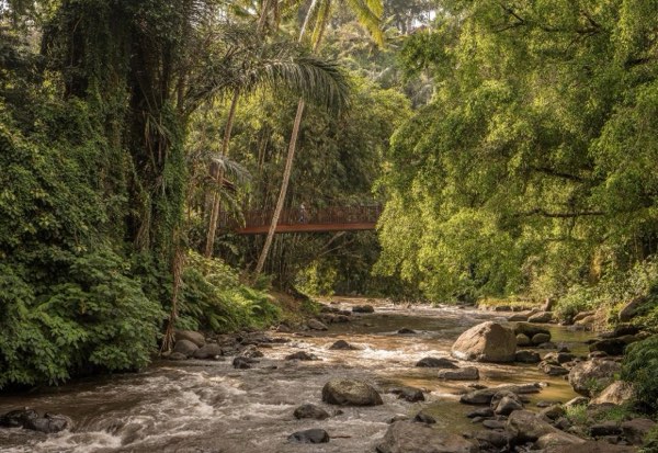 Four Seasons Resort Bali at Sayan — photograph 24 of 24