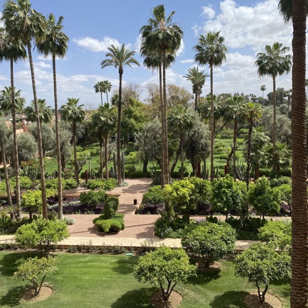 La Mamounia — photograph 11 of 25