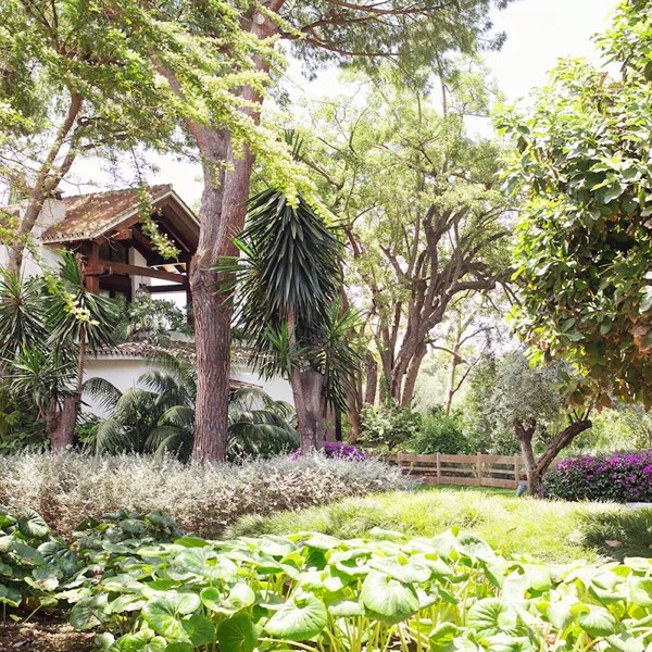 Marbella Club — photograph 15 of 19
