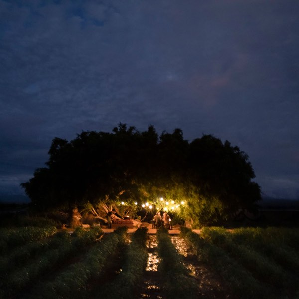Paradero — photograph 13 of 16
