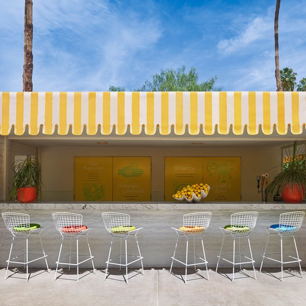 Parker Palm Springs — photograph 16 of 18